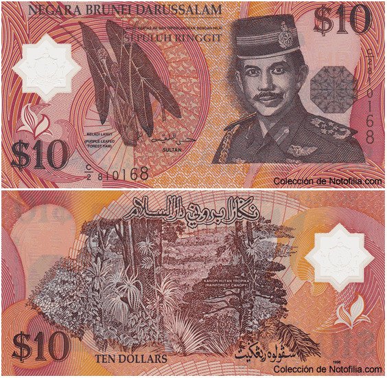 Billete de 10 Ringgit de polímero de Negara Brunei Darussalam, anverso arriba con retrato del Sultán Hassanal Bolkiah y la planta trepadora Keladi Laut, reverso abajo con el dosel de la selva tropical