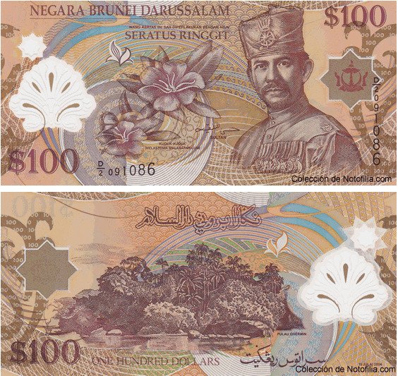 Billete de 100 Ringgit de polímero de Negara Brunei Darussalam, anverso arriba con retrato del Sultán Hassanal Bolkiah y flores nativas de Melastoma malabathricum, reverso abajo con la isla de Berambang