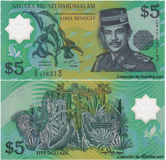 Billete de 5 Ringgit de polímero de Negara Brunei Darussalam, anverso arriba con retrato del Sultán Hassanal Bolkiah y la planta jarra carnívora, reverso abajo con el suelo de la selva tropical