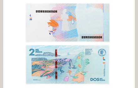 Prueba de impresión progresiva del 2.000 pesos del Banco de la República con Débora Arango (P-458b): anverso incompleto y reverso de Caño Cristales impreso